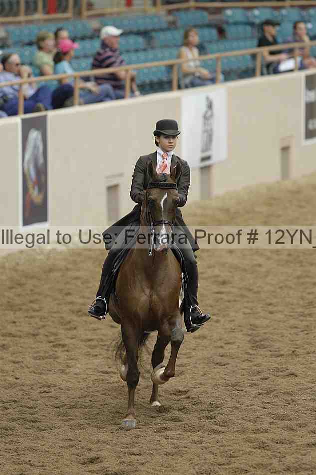 Proof Number 12yn_05752