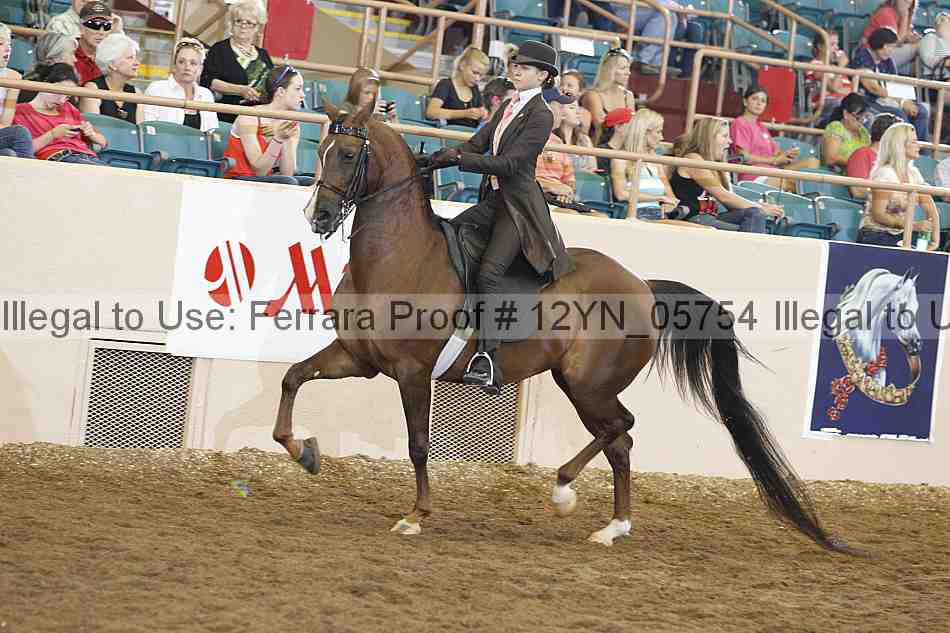 Proof Number 12yn_05754