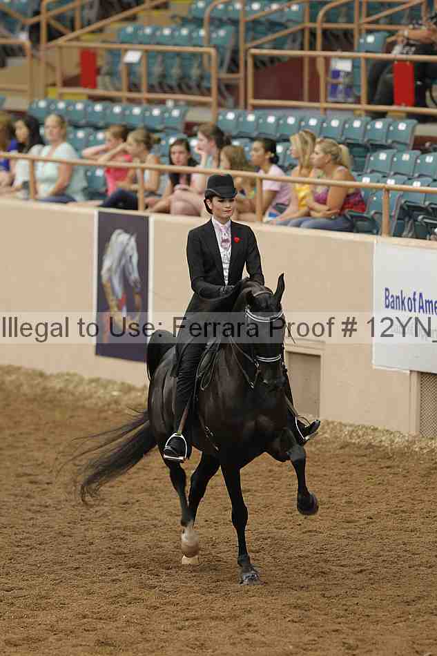 Proof Number 12yn_05805