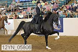 12yn_05806 thumbnail