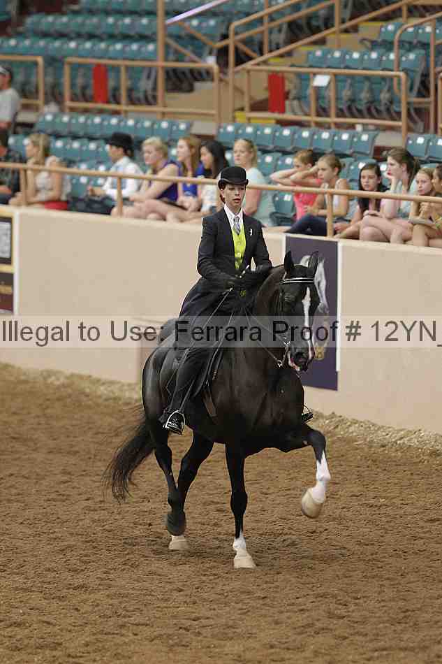 Proof Number 12yn_05807