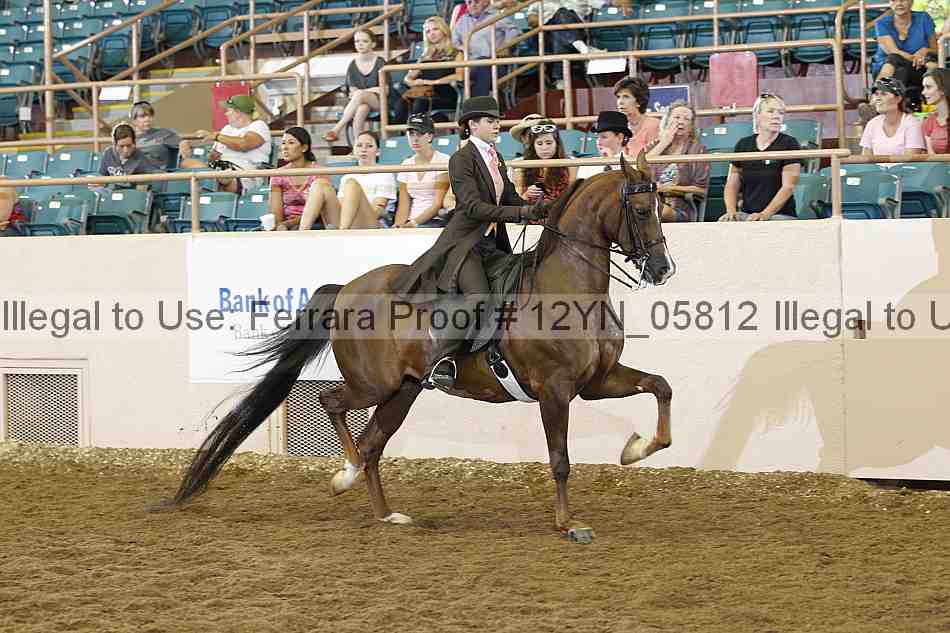 Proof Number 12yn_05812
