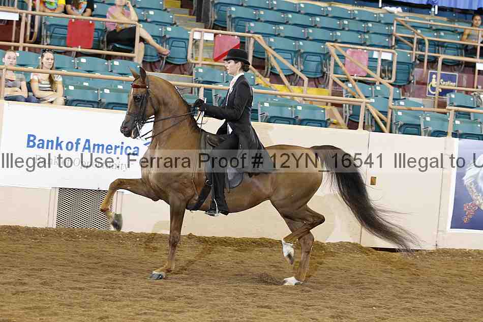 Proof Number 12yn_16541