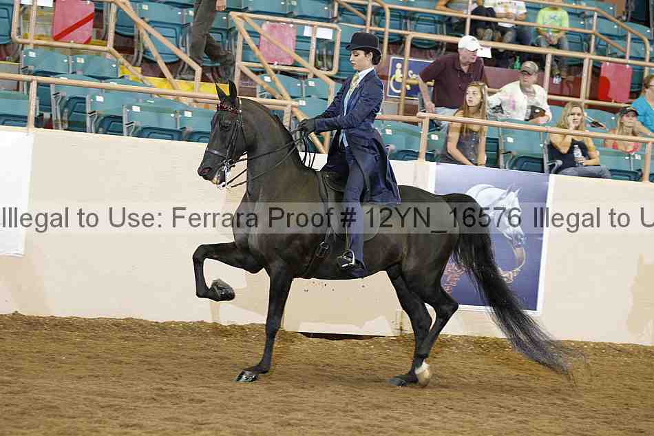 Proof Number 12yn_16576