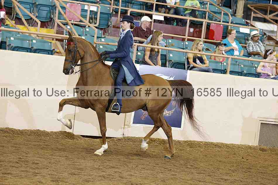 Proof Number 12yn_16585