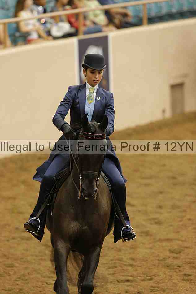 Proof Number 12yn_16595