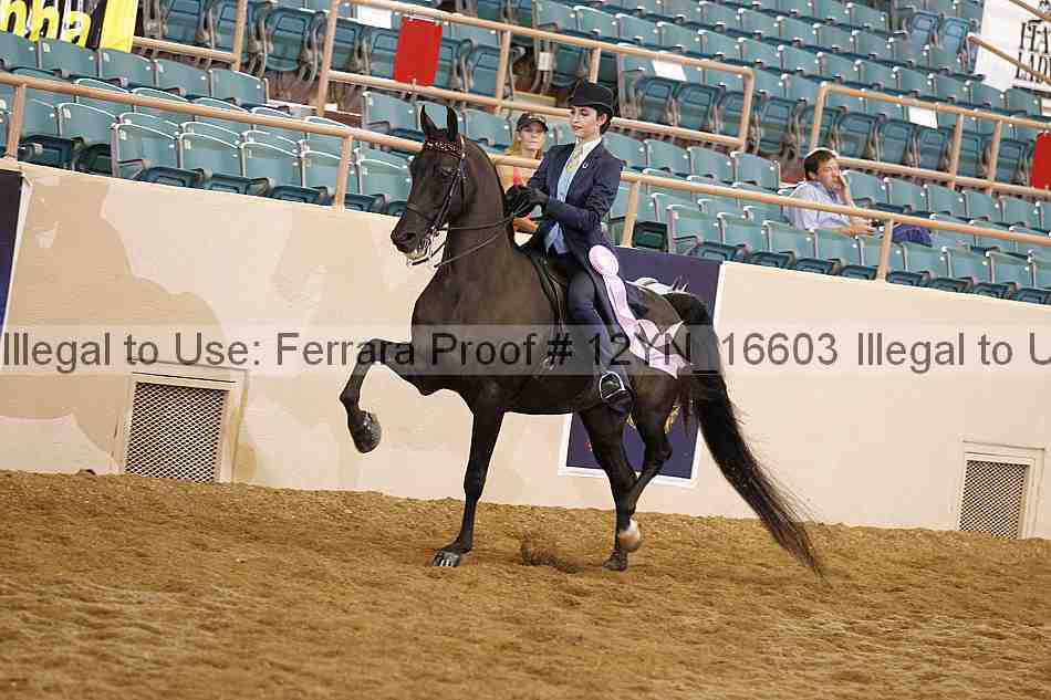 Proof Number 12yn_16603