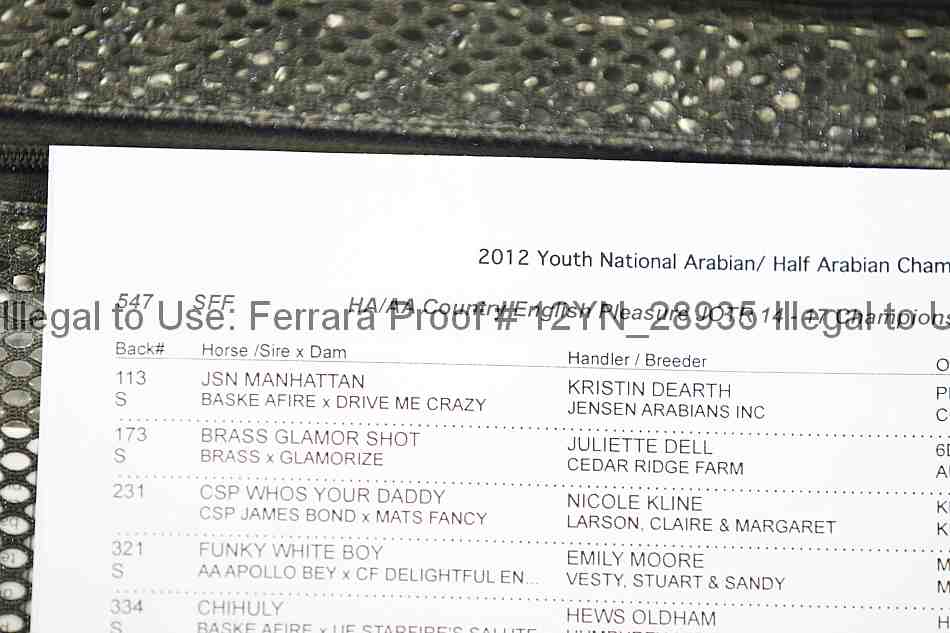 Proof Number 12yn_28935