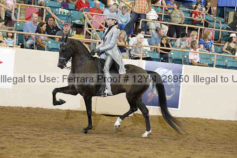 Proof Number 12yn_28950
