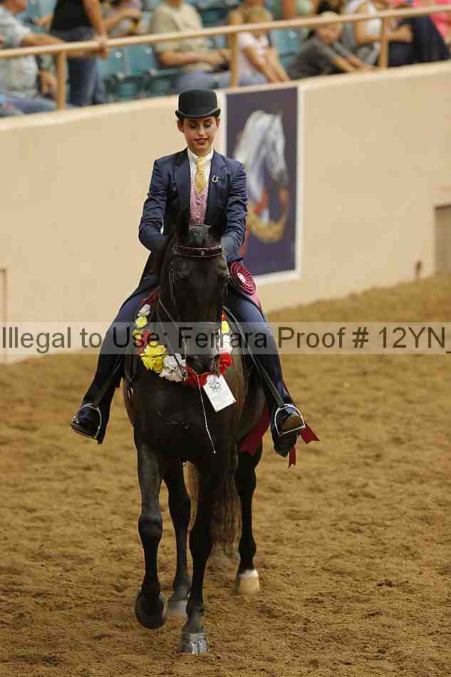 Proof Number 12yn_29013
