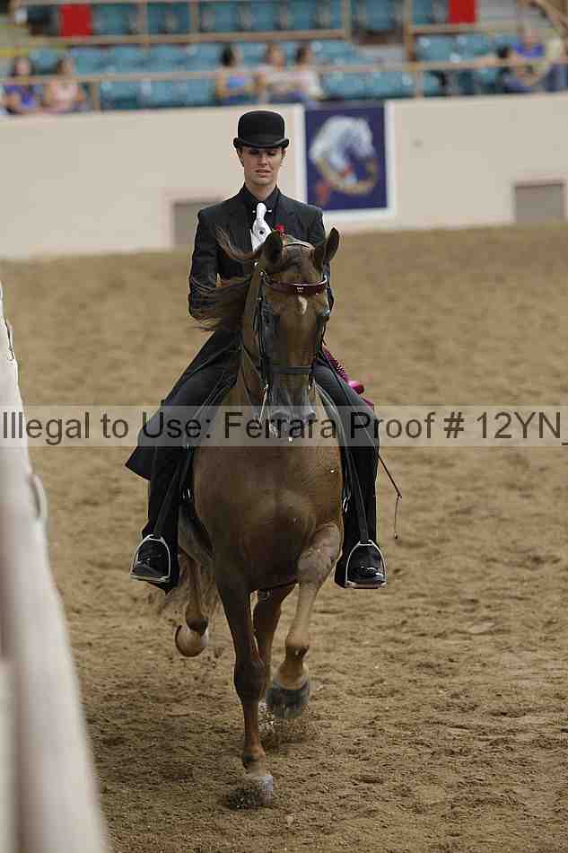 Proof Number 12yn_29106