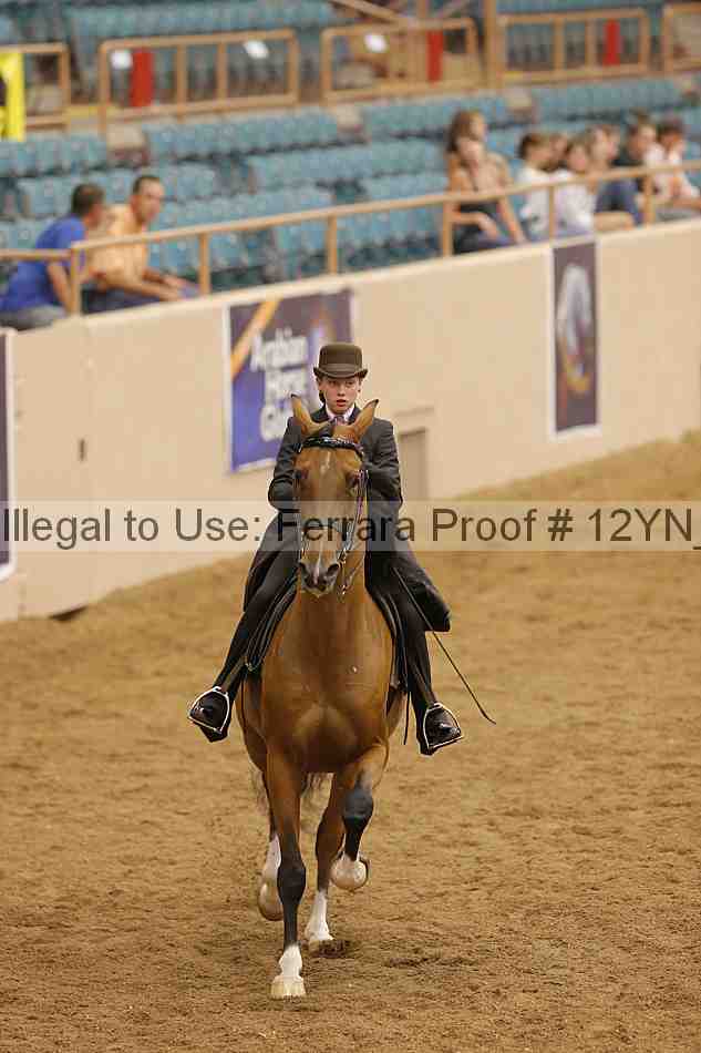 Proof Number 12yn_17946
