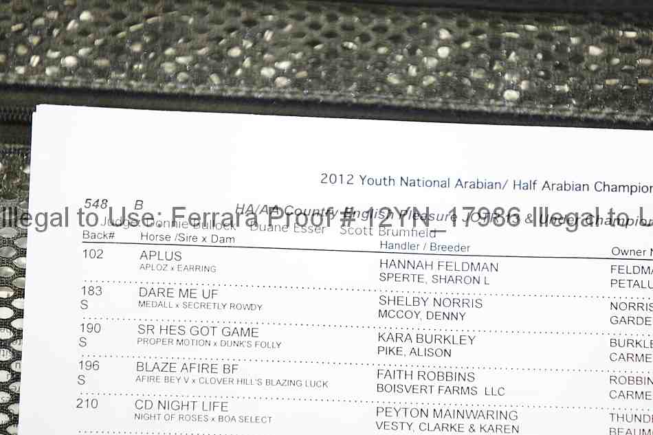 Proof Number 12yn_17986