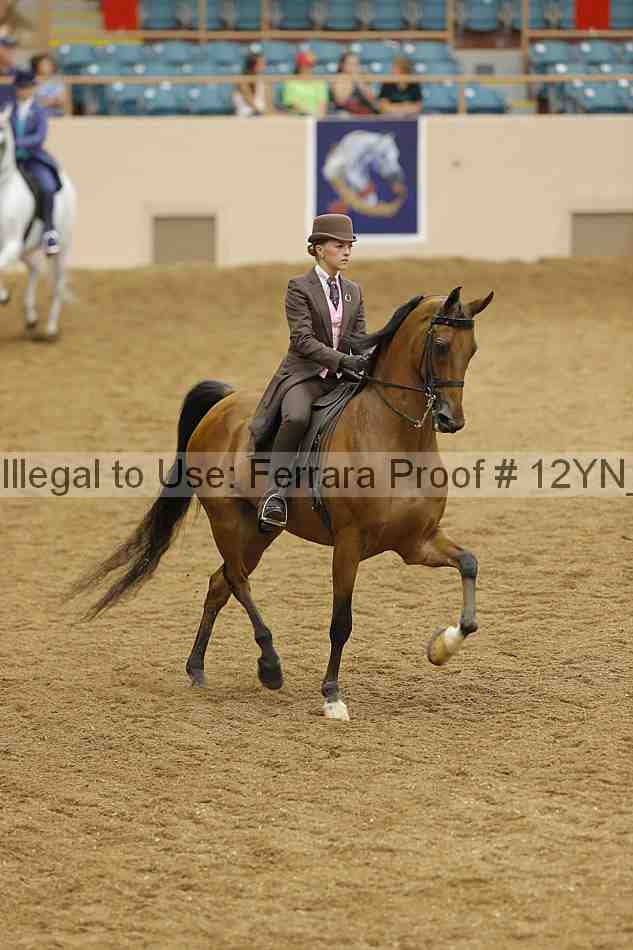 Proof Number 12yn_18001
