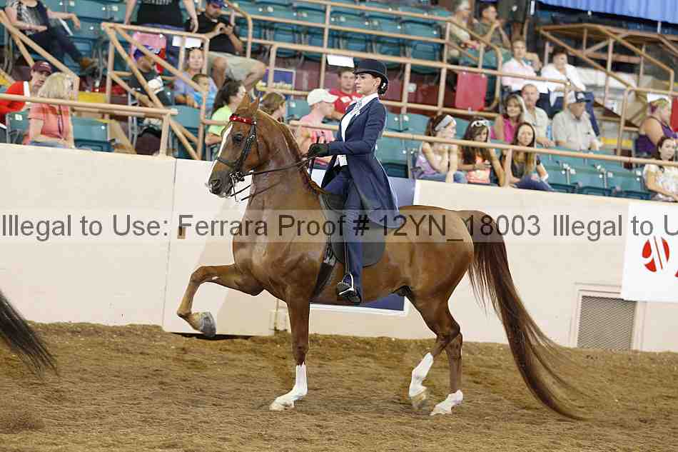 Proof Number 12yn_18003
