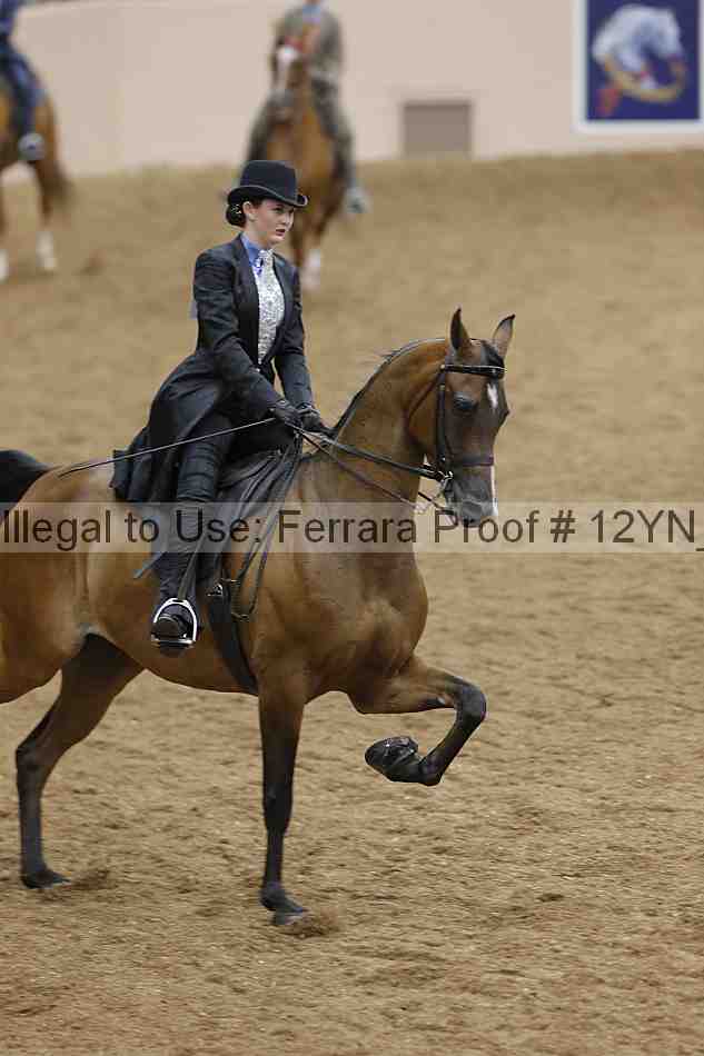 Proof Number 12yn_18007
