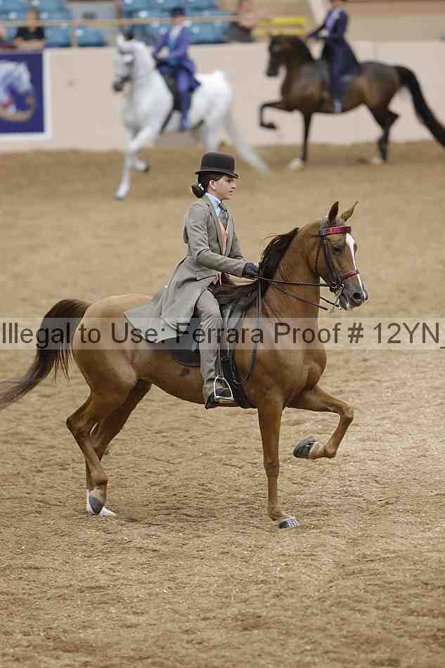 Proof Number 12yn_18008
