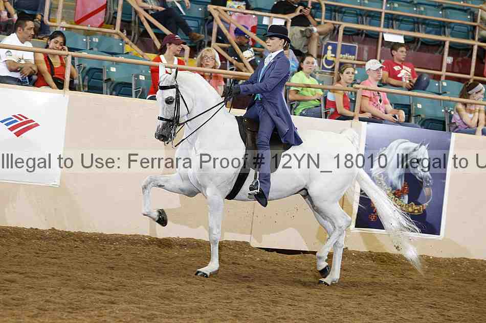 Proof Number 12yn_18010