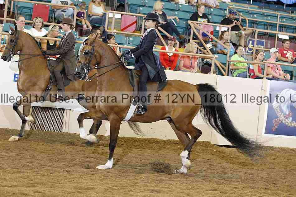 Proof Number 12yn_18012
