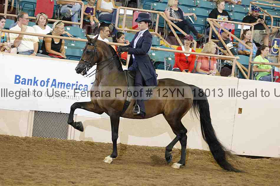 Proof Number 12yn_18013
