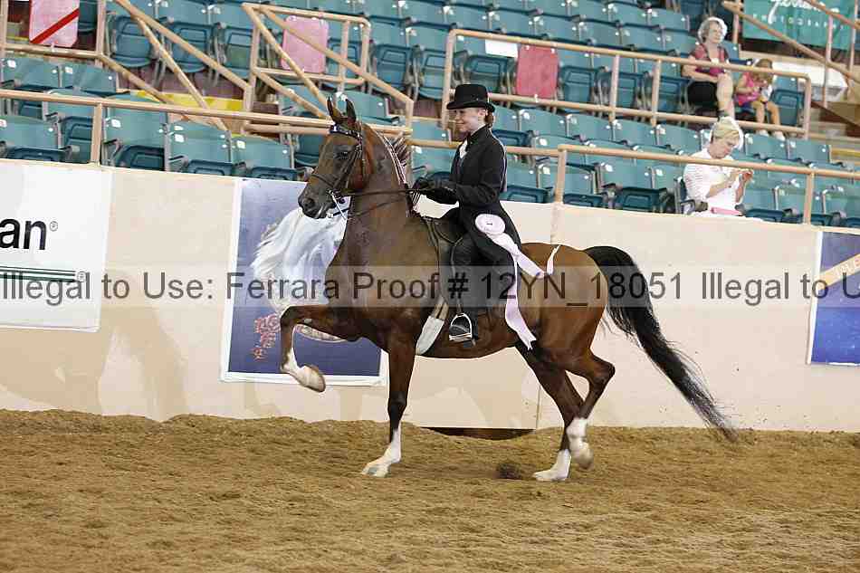 Proof Number 12yn_18051