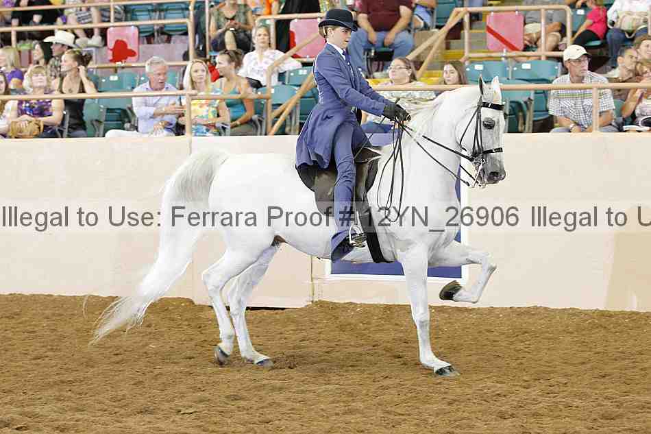 Proof Number 12yn_26906