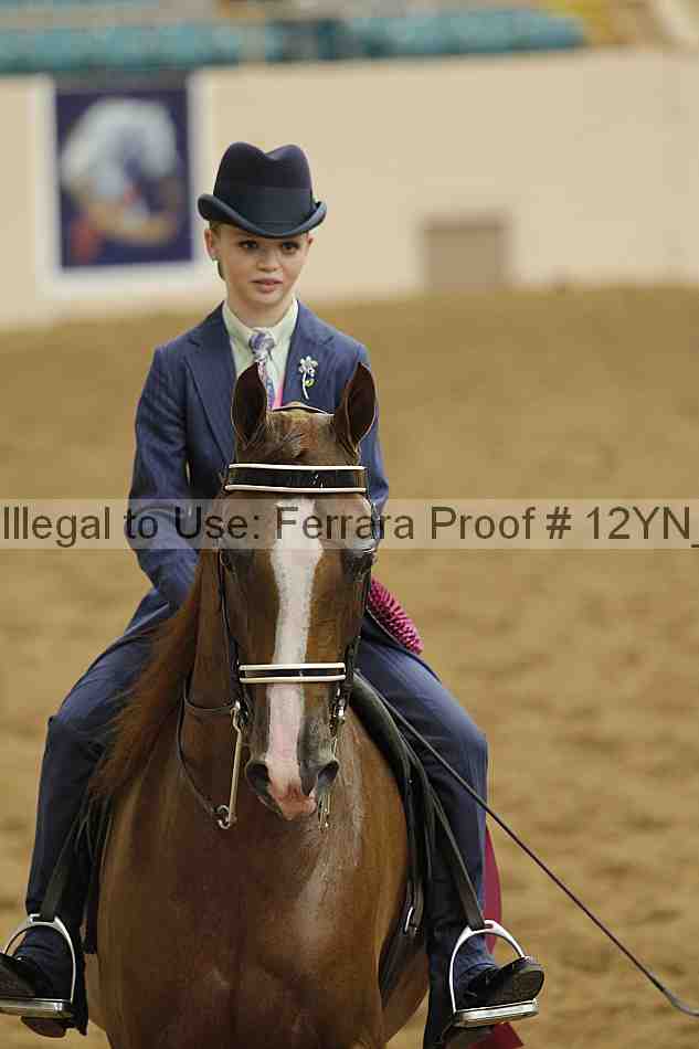 Proof Number 12yn_26964