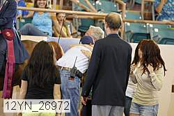 12yn_26972 thumbnail