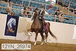 12yn_26974 thumbnail