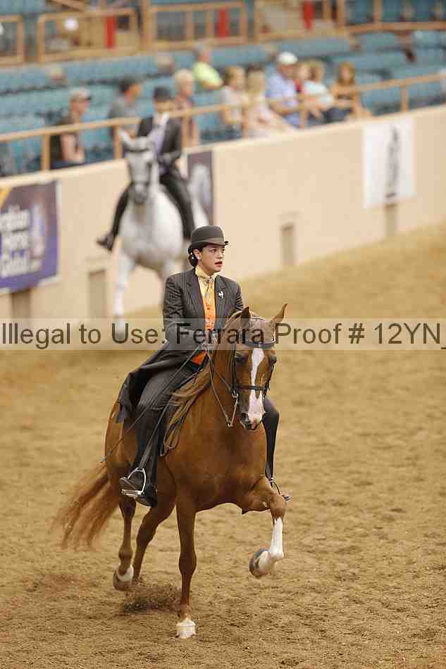 Proof Number 12yn_11066