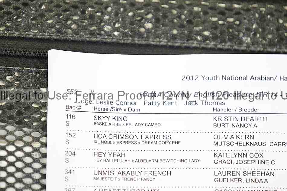 Proof Number 12yn_11120