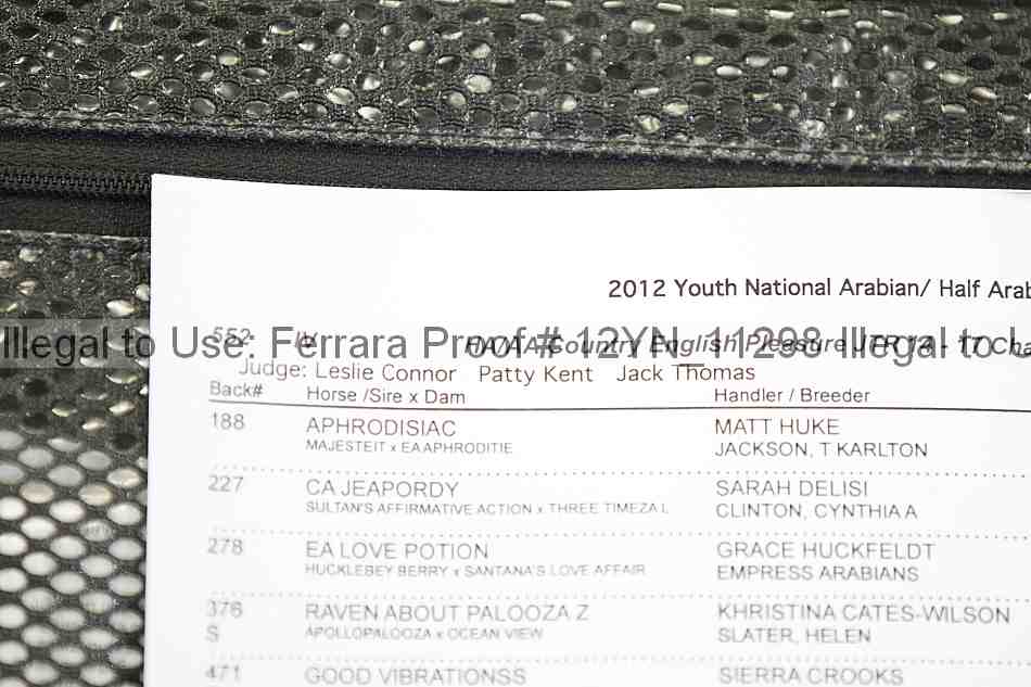 Proof Number 12yn_11298