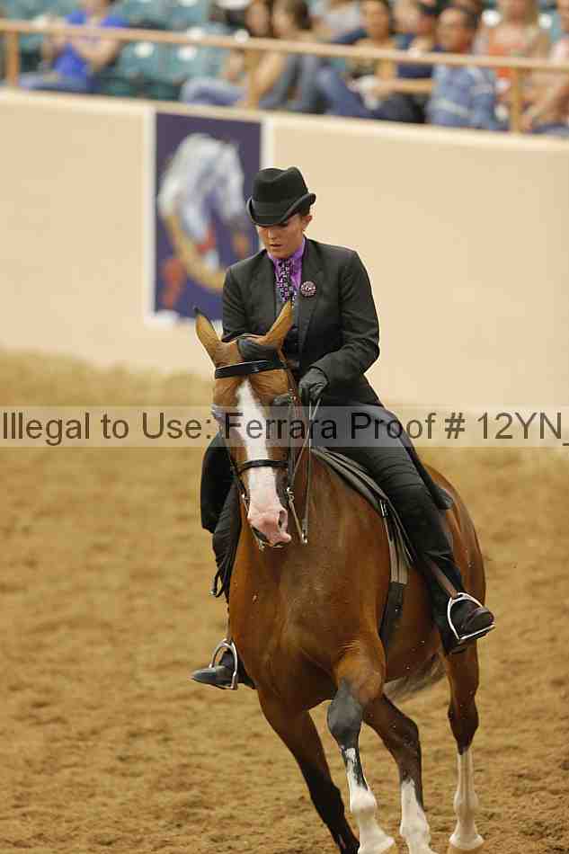 Proof Number 12yn_11361