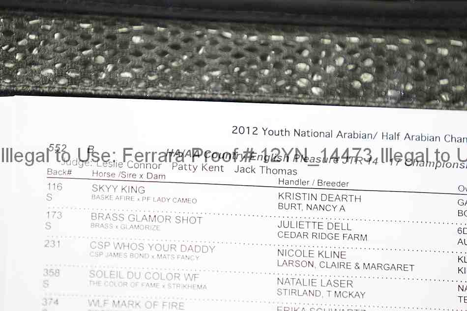 Proof Number 12yn_14473