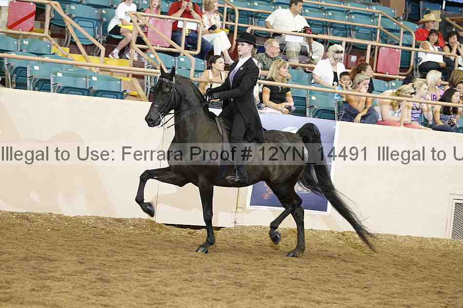 Proof Number 12yn_14491