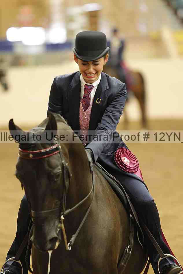 Proof Number 12yn_21887