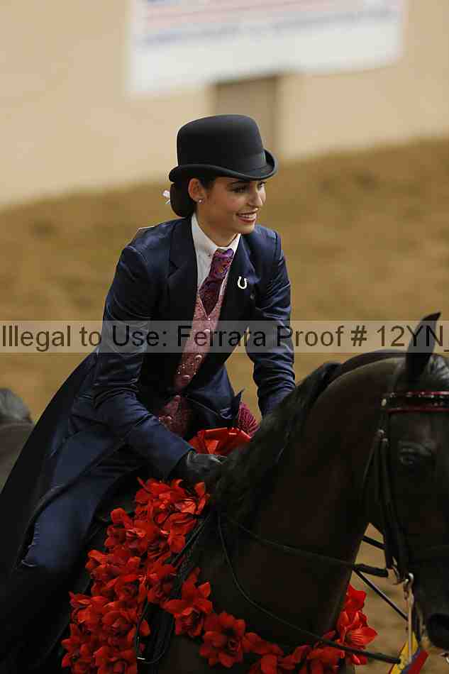 Proof Number 12yn_21926