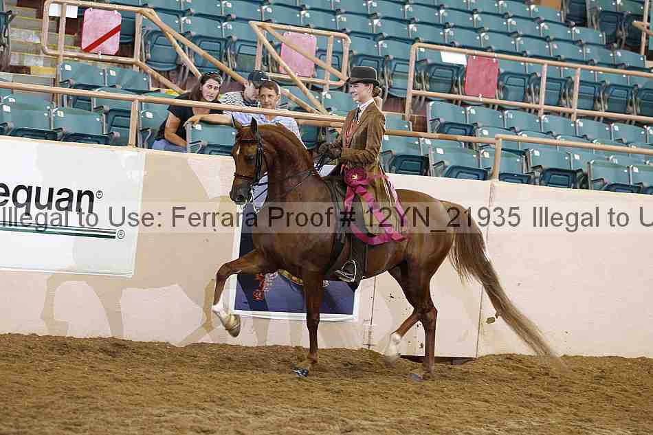 Proof Number 12yn_21935