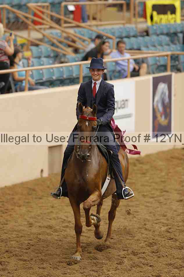 Proof Number 12yn_21938
