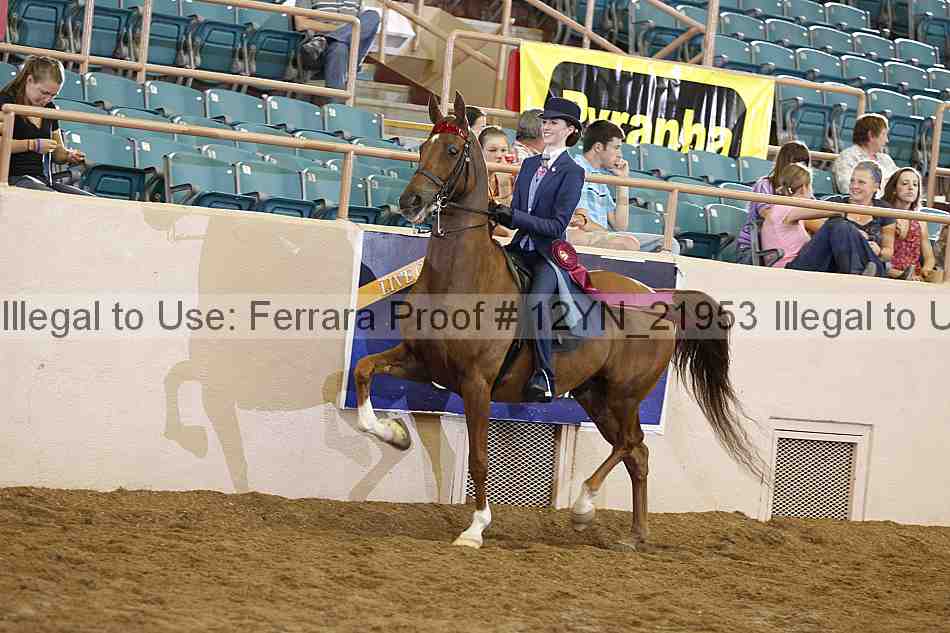 Proof Number 12yn_21953