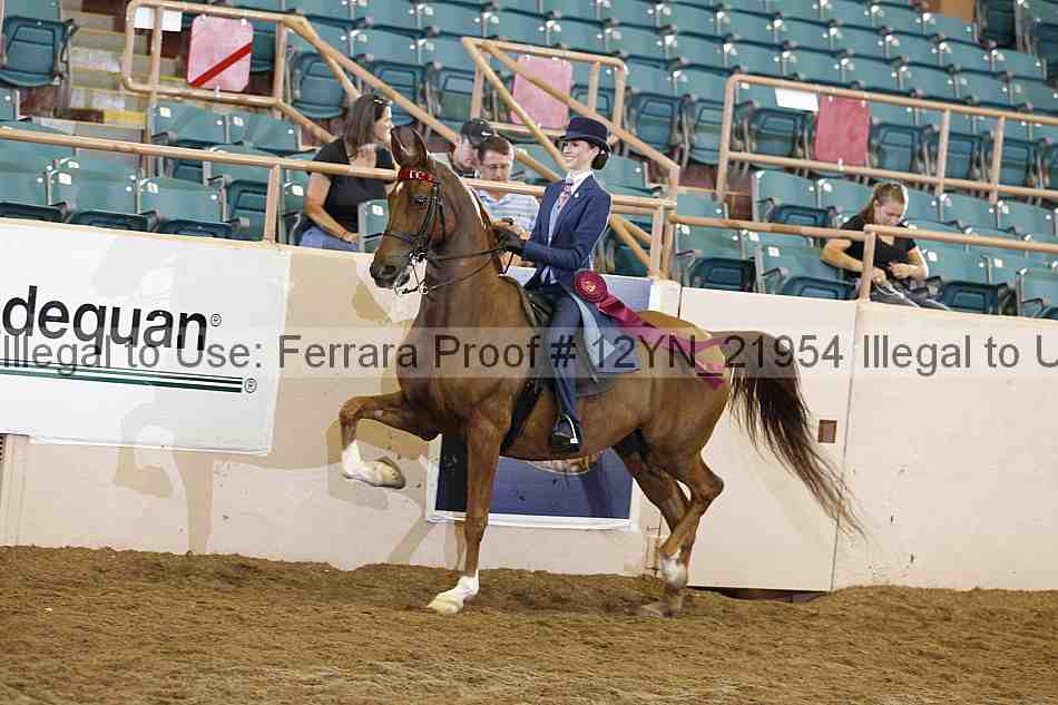 Proof Number 12yn_21954