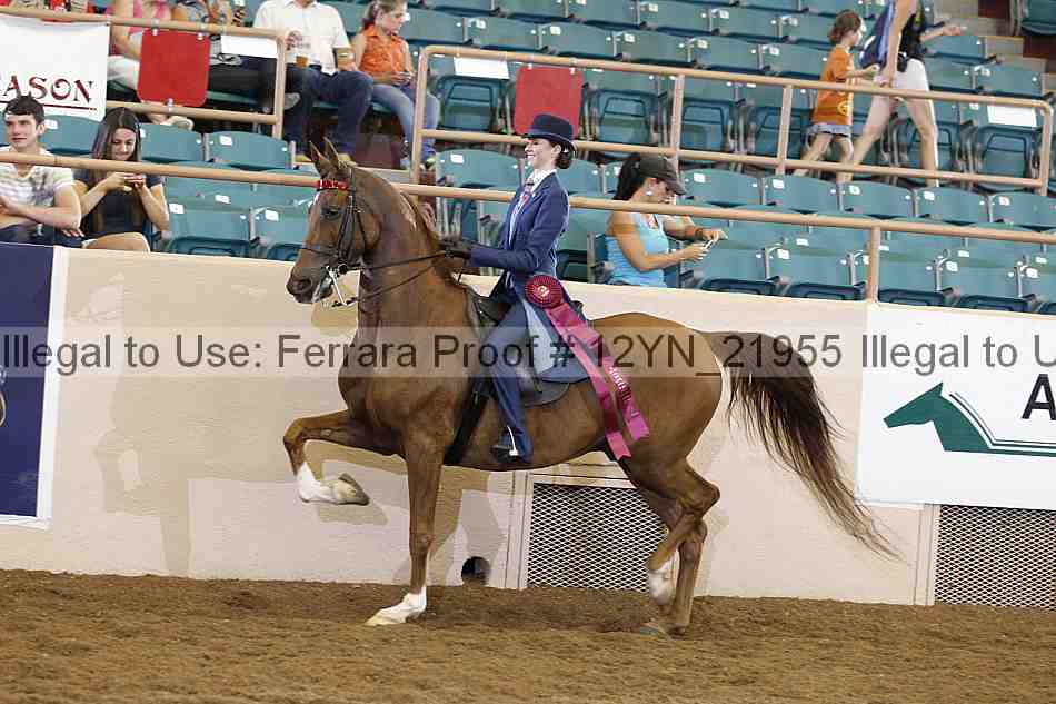 Proof Number 12yn_21955