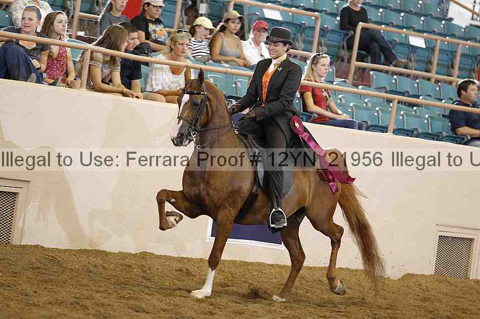 Proof Number 12yn_21956