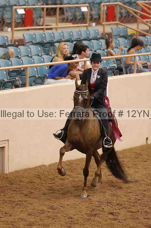 Proof Number 12yn_21960