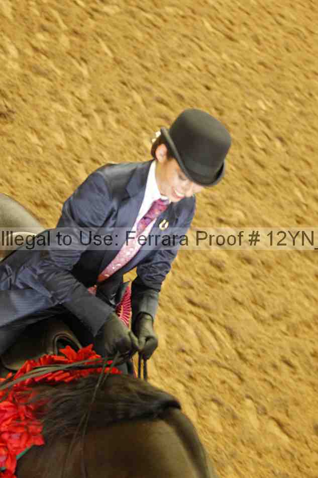 Proof Number 12yn_21986