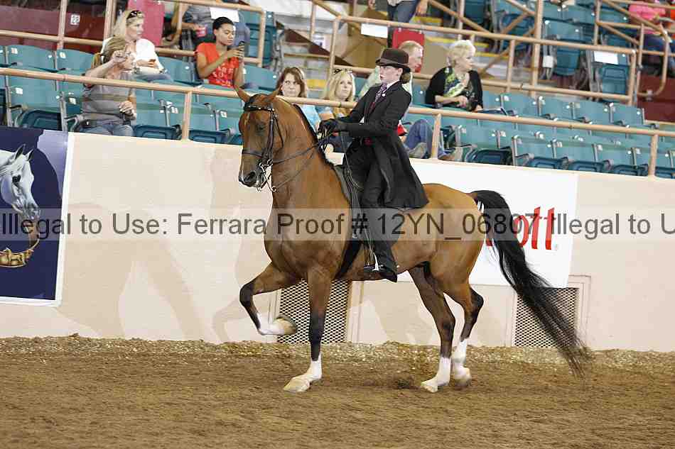Proof Number 12yn_06807
