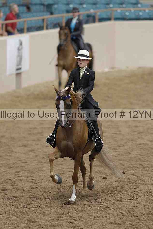 Proof Number 12yn_06820