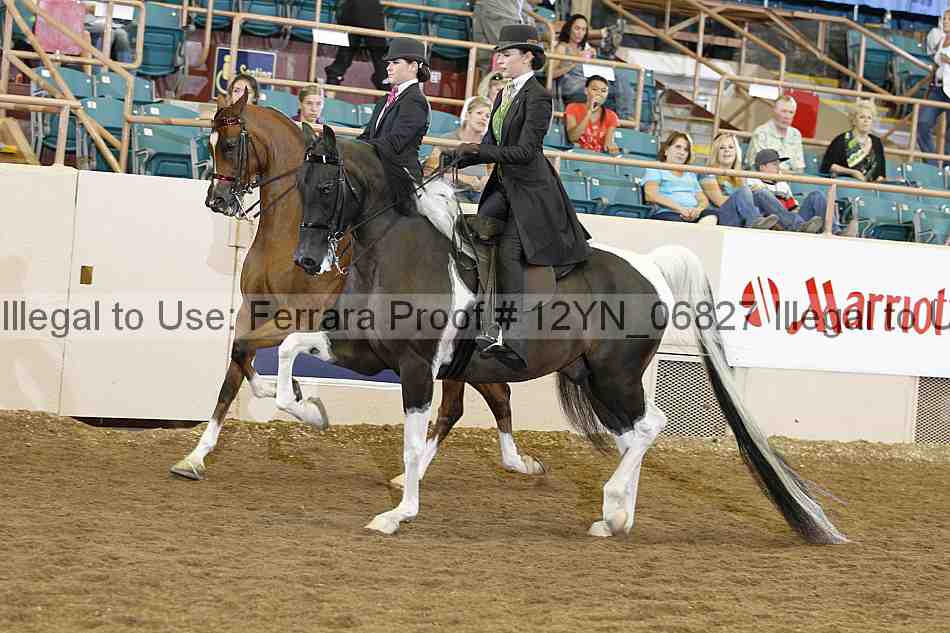 Proof Number 12yn_06827