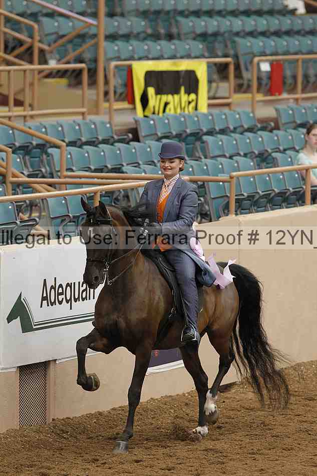 Proof Number 12yn_06876