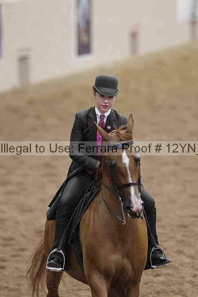 Proof Number 12yn_06881